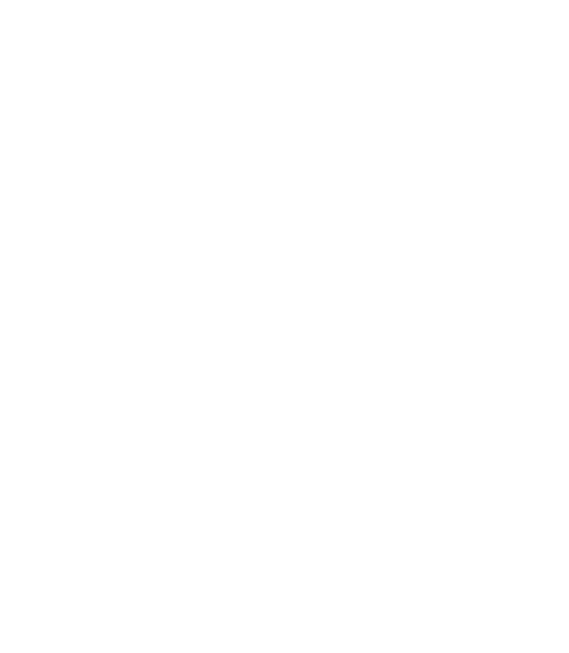 Iconen prijzen 03